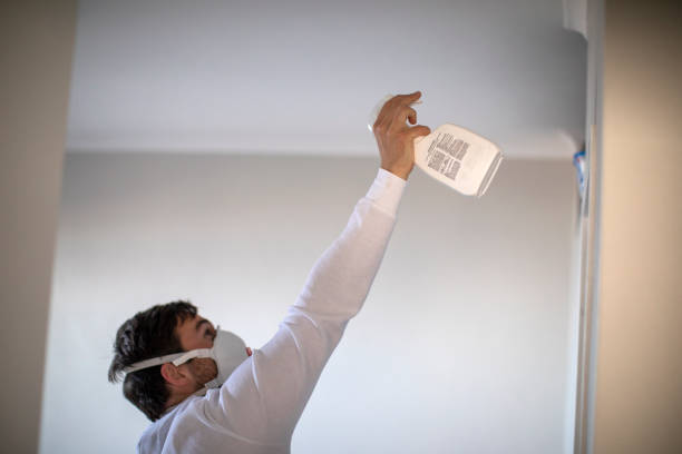 Professional Mold Removal in Pinetops, NC