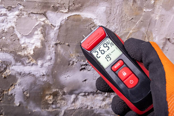 Best Fast Mold Removal  in Pinetops, NC