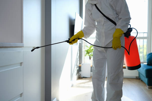 Best Affordable Mold Removal  in Pinetops, NC