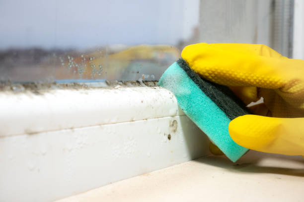 Best Office Mold Removal Services  in Pinetops, NC